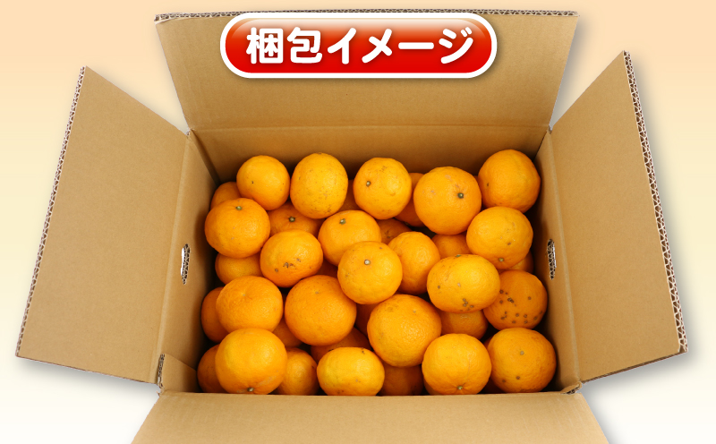 訳ありみかん ひめのつき 5kg 甘い 香り 爽やか 杉本屋 訳あり 訳あり品 わけあり 果物 くだもの フルーツ 柑橘 蜜柑 グルメ お取り寄せ デザート mikan ミカン 愛媛県産 愛媛みかん 愛媛ミカン 産地直送 数量限定 国産 愛媛 宇和島 B010-143007