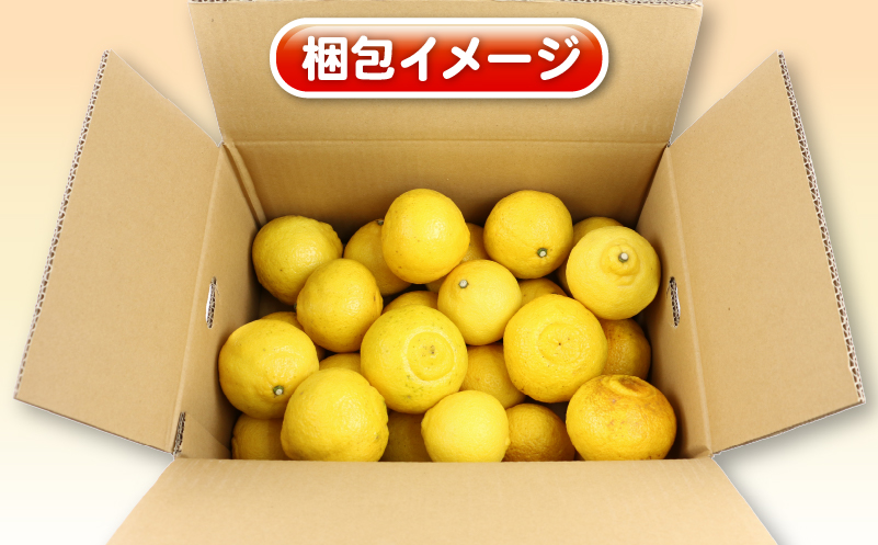 はるか 訳ありみかん 訳あり はるか 5kg 杉本屋 先行予約 わけあり 訳あり 訳あり品 果物 くだもの フルーツ 柑橘 蜜柑 みかん mikan グルメ お取り寄せ デザート ビタミン 愛媛県産 愛媛みかん 愛媛ミカン 産地直送 数量限定 国産 愛媛 宇和島 B010-143008