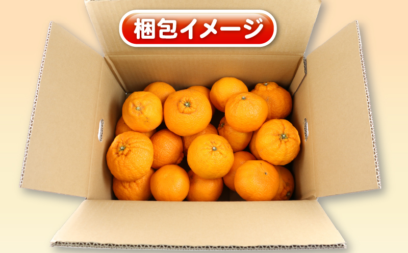 不知火 5kg 訳あり 不知火 杉本屋 先行予約 果物 くだもの わけあり 訳あり品 フルーツ 柑橘 蜜柑 みかん 不知火みかん mikan ミカン グルメ お取り寄せ デザート ビタミン 愛媛県産 愛媛みかん 愛媛ミカン 産地直送 数量限定 国産 愛媛 宇和島 B010-143009