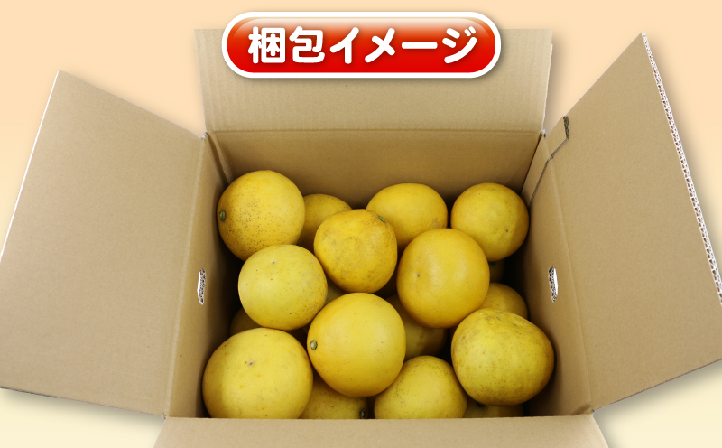 【産地直送】訳あり 土佐文旦 8kg 杉本屋 文旦 グレープフルーツ 愛媛みかん 蜜柑 mikan 果物 くだもの 国産 愛媛 宇和島 B010-143010