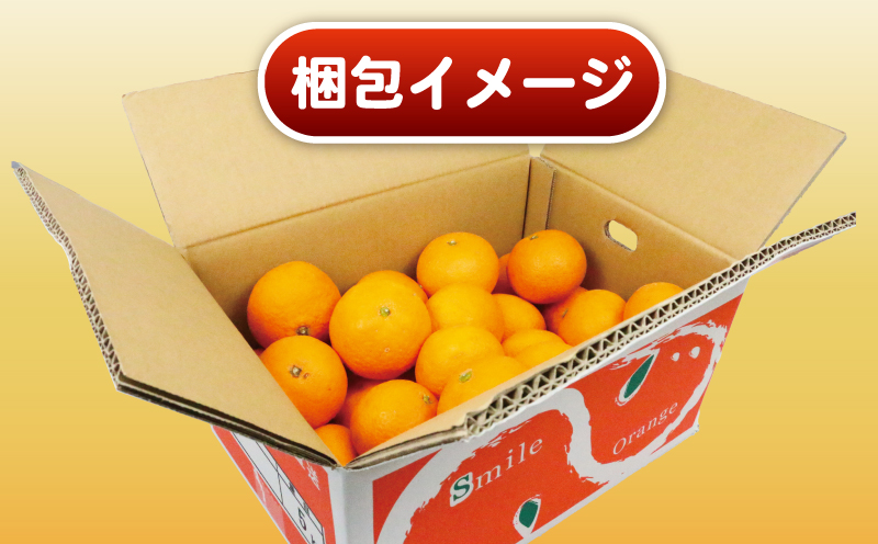 清見 訳あり 清見タンゴール 5kg 杉本屋 先行予約 わけあり タンゴール オレンジ きよみ 清見オレンジ 清見みかん 果物 くだもの フルーツ 柑橘 蜜柑 みかん mikan ミカン デザート 愛媛みかん  産地直送 農家直送 数量限定 国産 愛媛 宇和島 B010-143011