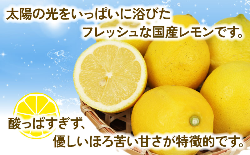 訳あり レモン 5kg  杉本屋 先行予約 わけあり れもん 檸檬 レモン果汁 酸味 高級 爽やか 果実 サワー ジュース チューハイ remon 青レモン れもん 檸檬 果物 くだもの ビタミン フルーツ 柑橘 農家直送 産地直送 数量限定 国産 愛媛 宇和島 B010-143012