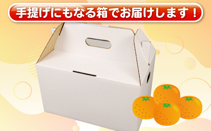 訳あり せとか 約4kg 柑橘の大トロ 杉本屋 先行予約 わけあり 訳アリ 訳あり品 果物 くだもの フルーツ 愛媛ミカン 愛媛蜜柑 愛媛みかん 高級 希少 mikan 蜜柑 みかん ミカン 濃厚 甘み 愛媛県産 柑橘 産地直送 数量限定 国産 愛媛 宇和島 B010-143016