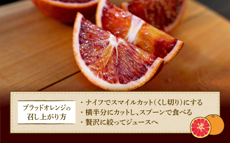 ブラッドオレンジ モロ Special selection 2.5kg コルレオファーム 果物フルーツ ブラッド オレンジ 柑橘 みかん 蜜柑 mikan 愛媛ミカン 愛媛蜜柑 愛媛みかん 農家直送 産地直送 数量限定 国産 愛媛 宇和島 B010-145004