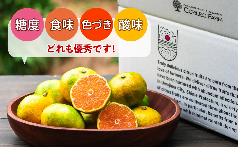 蜜柑 愛媛 極早生 みかん 日南1号 5kg S~L サイズ 混合 先行予約 コルレオファーム 極早生みかん mikan さっぱり 爽やか 甘味 酸味 果物 フルーツ 柑橘 農家直送 産地直送 数量限定 国産 宇和島 B010-145011