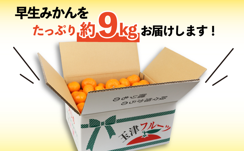 みかん 訳あり 愛媛 みかん 早生 9kg 河野農園 温州みかん 早生みかん 早生温州 温州 蜜柑 mikan 愛媛みかん 愛媛蜜柑 愛媛ミカン 果物 くだもの フルーツ おすすめ 人気のみかん 柑橘 農家直送 産地直送 数量限定 先行予約 国産 愛媛 宇和島 B010-147003