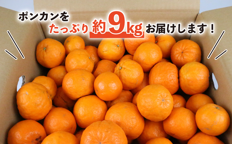 訳あり ポンカン 9kg 河野農園 わけあり みかん 蜜柑 mikan 愛媛みかん 愛媛ミカン 愛媛蜜柑 宇和島みかん ぽんかん 甘い 濃厚 人気 品種 果物 くだもの フルーツ おすすめ 柑橘 農家直送 産地直送 数量限定 先行予約 国産 愛媛 宇和島 B010-147005