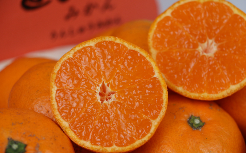 温州みかん  南柑20号 9kg 家庭用 植村農園 先行予約 mikan みかん 温州蜜柑 愛媛ミカン 愛媛蜜柑 愛媛みかん 温州 蜜柑 果物 くだもの フルーツ 柑橘 農家直送 産地直送 数量限定 国産 愛媛 愛媛産 宇和島 B010-153004