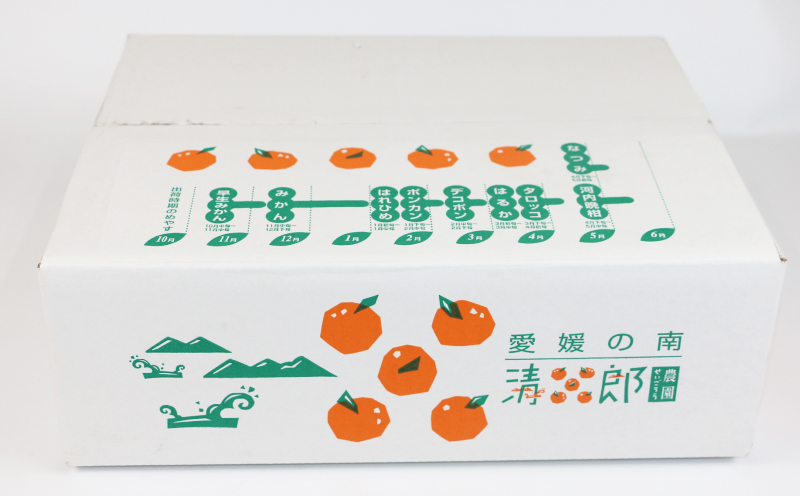 なつみ 訳あり 冷蔵なつみ 3kg  SS ~ Sサイズ 清五郎農園 完熟 甘い 南津海 果物 くだもの フルーツ 柑橘 みかん mikan ミカン デザート 果汁 爽やか 愛媛ミカン 愛媛みかん 蜜柑 オレンジ 産地直送 農家直送 数量限定 国産 愛媛 宇和島 B010-156003