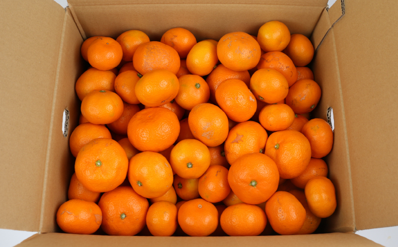 訳あり みかん 南柑20号 9kg まる玉農園 温州みかん 蜜柑 温州 うんしゅう 柑橘 濃厚 甘い mikan 酸味 果物 くだもの 訳アリ 訳あり品 訳有り わけあり 愛媛みかん 愛媛ミカン 愛媛県産 フルーツ 産地直送 農家直送 数量限定 国産 愛媛 宇和島 B010-172001