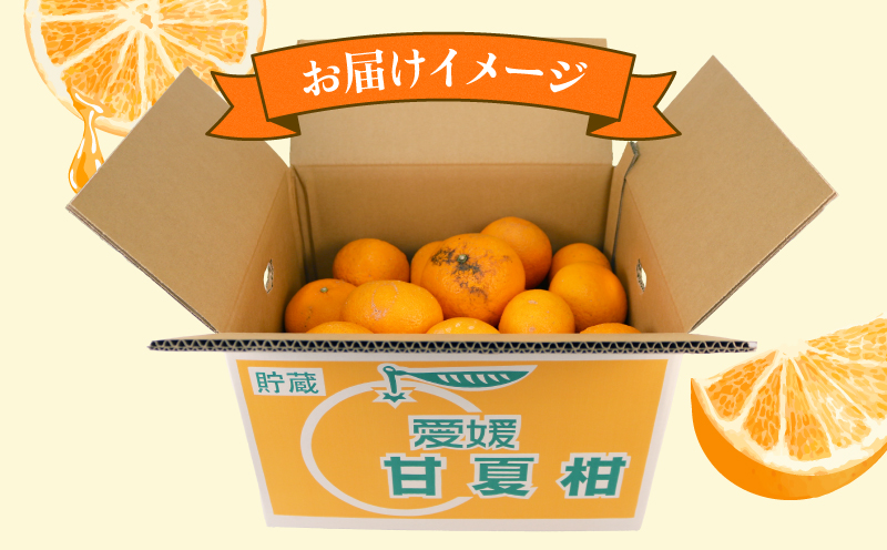 愛媛みかん 訳あり 甘夏 10kg まる玉農園 先行予約 わけあり 夏みかん 甘夏柑 あまなつ 愛媛ミカン 愛媛蜜柑 訳ありみかん 訳あり蜜柑 mikan 果物 くだもの フルーツ 柑橘 みかん 蜜柑 数量限定 産地直送 国産 愛媛 宇和島 B010-172005