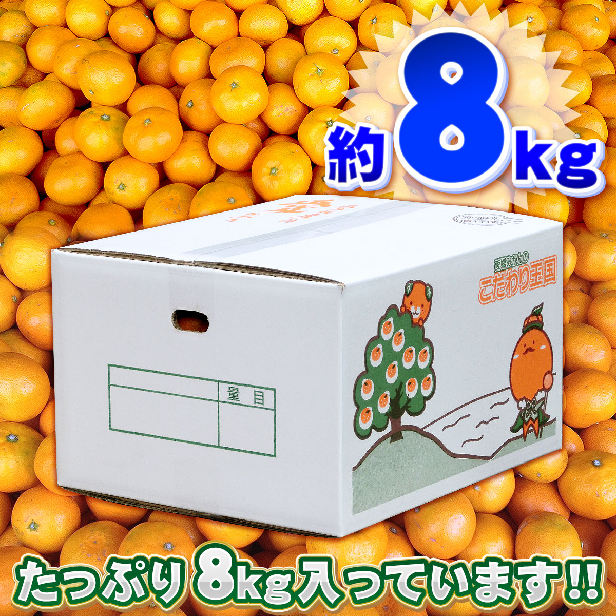 小玉みかん 訳あり 小玉 みかん 8kg 中井屋 わけあり 訳あり品 訳アリ 先行予約 温州みかん 温州蜜柑 愛媛みかん 愛媛ミカン 愛媛蜜柑 mikan 小粒 小粒みかん 小みかん 果物 くだもの フルーツ 柑橘 蜜柑 温州 早生 南柑 産地直送 数量限定 国産 愛媛 宇和島 B010-173002