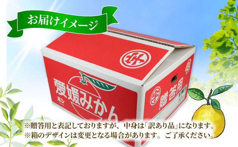 訳あり 河内晩柑 約 8kg 木田柑橘農園 晩柑 かわちばんかん 和製 グレープフルーツ 訳アリ 訳あり品 愛媛みかん 愛媛蜜柑 愛媛県産みかん 蜜柑 みかん mikan 爽やか さっぱり フレッシュ 果物 くだもの フルーツ 柑橘 数量限定 産地直送 国産 愛媛 宇和島 B010-185007