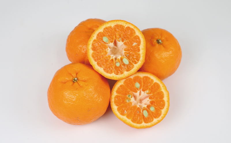 ポンカン 10kg 家庭用 サイズ ミックス 平石農園 果物 フルーツ 柑橘 甘い みかん 蜜柑 数量限定 産地直送 農家直送 国産 愛媛 宇和島 B011-017003