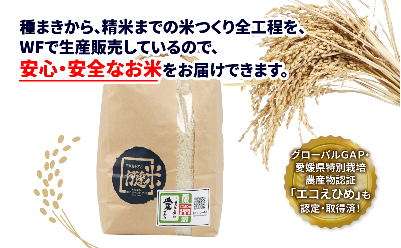 みかん 3kg 特別栽培米 コシヒカリ 伊達米 3kg 詰め合わせ セット ワールドファーマーズ 温州みかん 米 ミカン 蜜柑 mikan 愛媛みかん 愛媛蜜柑 愛媛県産 柑橘 果物 くだもの フルーツ 柑橘 農家直送 産地直送 数量限定 国産 愛媛 宇和島 B012-024003