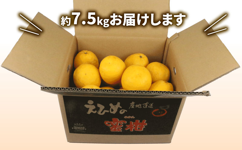 愛媛みかん 河内晩柑 7.5kg ワールドファーマーズ 先行予約 晩柑 かわちばんかん 和製 グレープフルーツ 愛媛ミカン 愛媛蜜柑 愛媛県産みかん 蜜柑 みかん mikan 爽やかみかん 宇和島みかん 果物 くだもの フルーツ 柑橘 数量限定 産地直送 国産 愛媛 宇和島 B012-024010