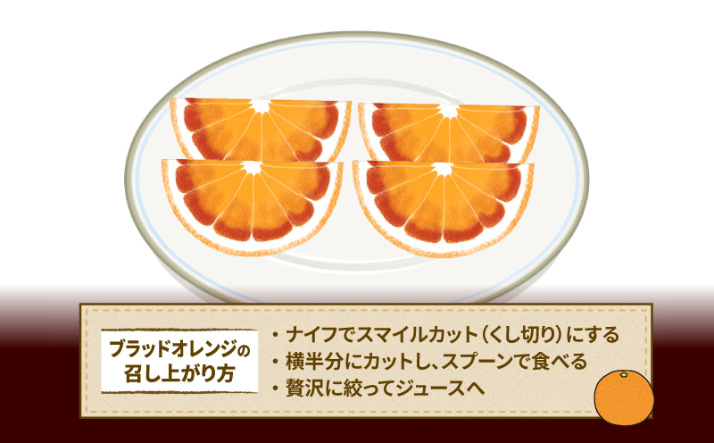 ブラッドオレンジ タロッコ 家庭用 4kg 愛媛みかん ワールドファーマーズ 人気みかん 先行予約 ブラッド オレンジ ブラッドオレンジタロッコ 愛媛ミカン 愛媛蜜柑 蜜柑 みかん mikan 果物 くだもの フルーツ 柑橘 数量限定 産地直送 国産 愛媛 宇和島 B012-024012