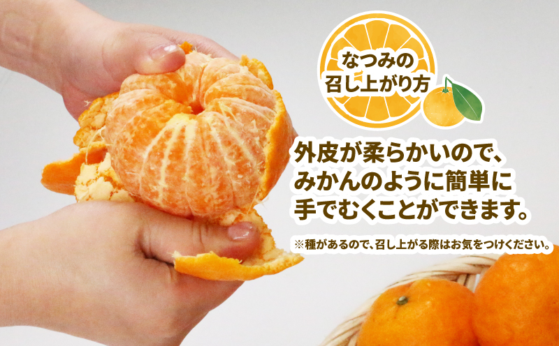 なつみ 家庭用 4kg ワールドファーマーズ 先行予約 初夏のみかん 人気みかん 南津海 マンダリン高級 ブランド 希少 品種 愛媛ミカン 愛媛蜜柑 蜜柑 みかん mikan 果物 くだもの フルーツ 柑橘 数量限定 産地直送 国産 愛媛 宇和島 B012-024013