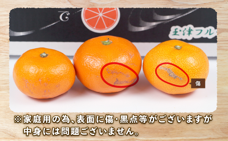 愛媛みかん 南柑20号 10kg S~2L サイズ 家庭用 上杉果樹園 先行予約 温州蜜柑 温州みかん mikan 愛媛ミカン 愛媛蜜柑 愛媛みかん みかん ビタミン 温州 蜜柑 果物 くだもの フルーツ 柑橘 農家直送 産地直送 数量限定 国産 愛媛 宇和島 B012-056002