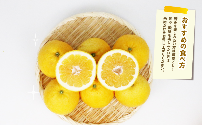 訳あり 河内晩柑 8.5kg 23～26玉 サイズ ミックス 不揃い 玉津みかん ニュービジネスユニット 晩柑 和製 グレープフルーツ 果物 フルーツ 柑橘 みかん 蜜柑 愛媛みかん 産地直送 農家直送 産地直送 数量限定 国産 愛媛 宇和島 B012-058010