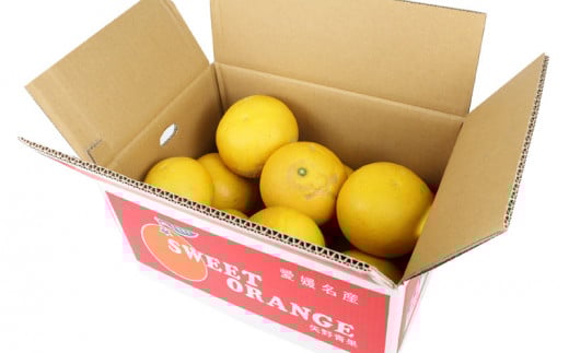 準 贈答用 文旦 5kg 矢野青果 ザボン ぶんたん ボンタン 果物 くだもの フルーツ さっぱり 酸味 蜜柑 準贈答用 贈答品 贈答 ギフト プレゼント 産地直送 農家直送 数量限定 国産 愛媛 宇和島 B012-171012