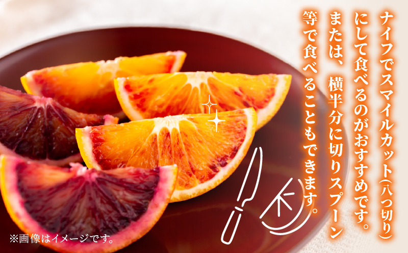 準 贈答用 ブラッドオレンジ タロッコ 5kg 矢野青果 先行予約 オレンジ みかん 柑橘 果物 くだもの オレンジフルーツ フルーツ 濃厚 甘い 甘味 蜜柑 準贈答用 贈答品 贈答 ギフト プレゼント 産地直送 農家直送 数量限定 国産 愛媛 宇和島 B012-171020