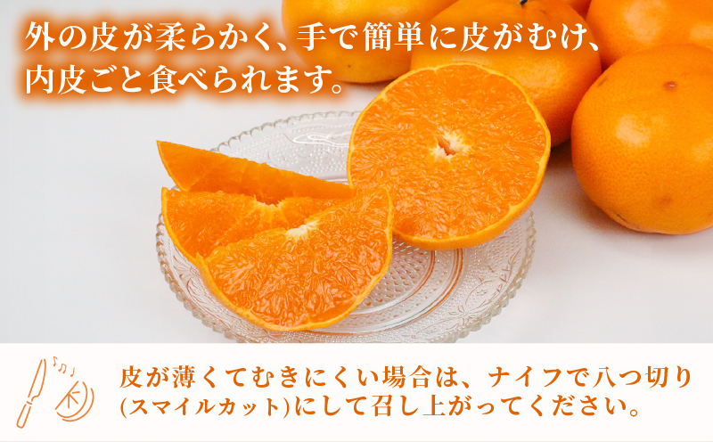 せとか 2 ~ 3kg 贈答用 矢野青果 柑橘の 大トロ 高級 希少 限定 品種 ブランド 高級柑橘 甘い 果物 くだもの フルーツ 柑橘 みかん 蜜柑 愛媛蜜柑 愛媛みかん mikan 贈答 ギフト プレゼント 産地直送 数量限定 国産 愛媛 愛媛県 宇和島 B012-171022