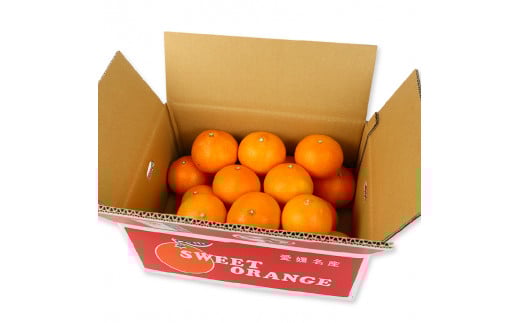 愛果28号 5kg 矢野青果 家庭用 愛媛みかん みかん 柑橘 果物 ミカン あいか 美味しい くだもの フルーツ 高級 ブランド 限定 品種 濃厚 甘い 甘味 蜜柑 ゼリー プルプル サイズ 不揃い ご当地 愛媛ミカン 愛媛蜜柑 愛媛県産 数量限定 国産 愛媛 宇和島 B014-171003