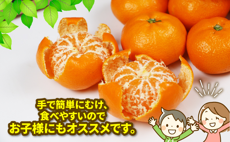 愛媛みかん 南柑20号 10kg 甘い 美味しい ワールドファーマーズ 先行予約 温州 みかん うんしゅう 温州みかん 愛媛ミカン 愛媛蜜柑 愛媛県産みかん みかん 蜜柑 mikan 果物 くだもの フルーツ 柑橘 数量限定 産地直送 国産 愛媛 宇和島 B015-024002