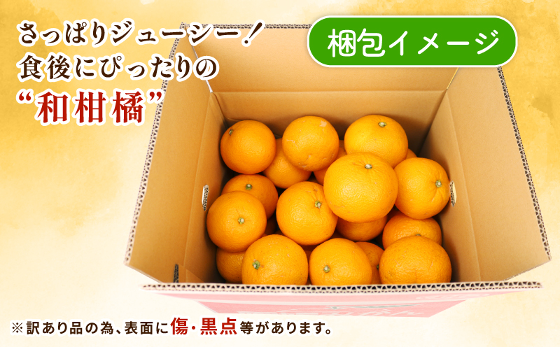 はっさく 訳あり 八朔 10~12kg 先行予約 ふるくとファーム かなこちゃんち 果物 くだもの フルーツ 柑橘 みかん 蜜柑 mikan わけあり 訳アリ 訳あり品 ビタミンC たっぷり 愛媛ミカン 愛媛蜜柑 愛媛みかん 農家直送 産地直送 数量限定 国産 愛媛 宇和島 B015-037003