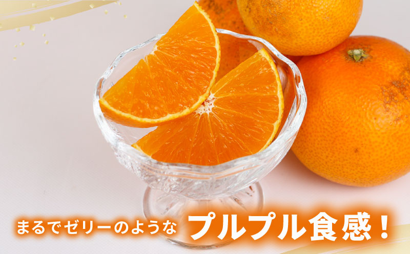 訳あり 愛果28号 5kg マル南フルーツ B015-106027