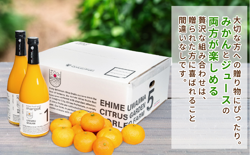 温州 みかん 2.2kg ジュース 720ml × 2本 セット コルレオファーム 先行予約 南柑20号 ミカン 蜜柑 愛媛みかん 愛媛ミカン 愛媛蜜柑 mikan 果物 くだもの フルーツ 柑橘 プレゼント 贈り物 贅沢 農家直送 産地直送 数量限定 愛媛 宇和島 B016-145015