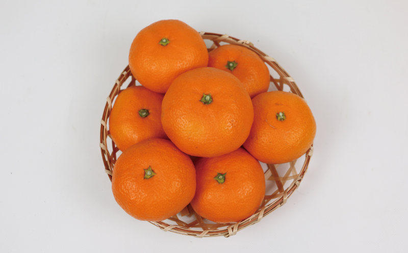 みかん 10kg 贈答用 優品 愛媛 南柑20号 S～L サイズ ミックス 玉津みかん ニュービジネスユニット 先行予約 温州 温州みかん 果物 くだもの フルーツ 柑橘 蜜柑 mikan 温州 愛媛ミカン 愛媛蜜柑 愛媛みかん 国産 産地直送 数量限定 宇和島 B018-058005