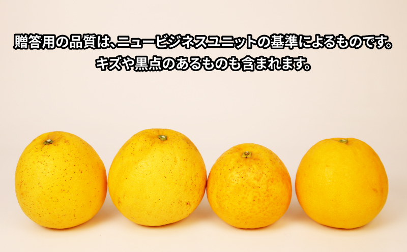 河内晩柑 贈答用 8.5kg 23～26玉 サイズ ミックス 不揃い 玉津みかん ニュービジネスユニット 先行予約 晩柑 かわちばんかん 和製 グレープフルーツ 高級 ギフト 贈答品 果物 フルーツ みかん 蜜柑 農家直送 産地直送 数量限定 国産 愛媛 宇和島 B018-058013