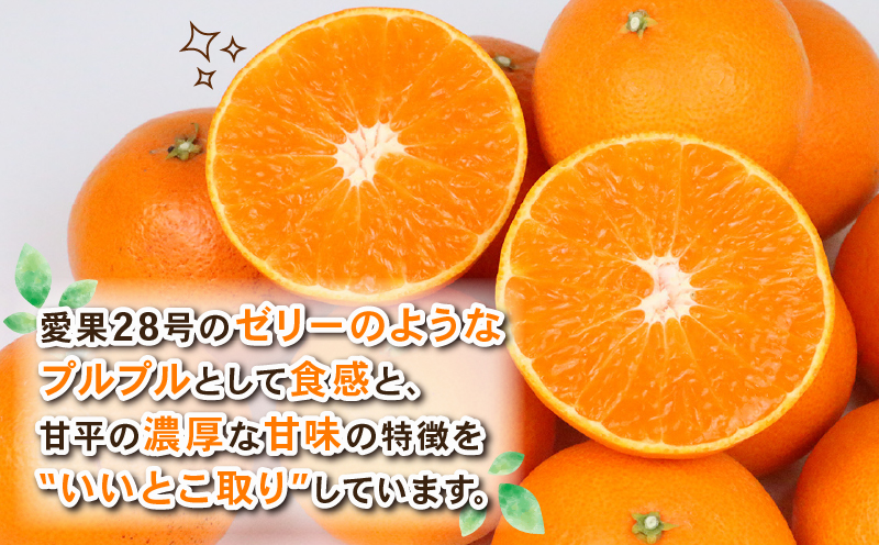 愛果48号 新品種 約4kg M~3L サイズ Shirai.agrifarm 先行予約 高級柑橘 みかん 愛媛ミカン 愛媛蜜柑 mikan 柑橘 果物 愛果28号 甘平 くだもの フルーツ 高級 ブランド 美味しい 濃厚 蜜柑 産地直送 農家直送 数量限定 国産 愛媛 宇和島 B030-115007