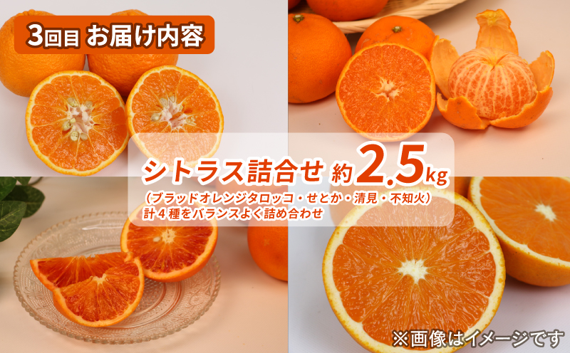 シトラス フルーツ 3回 定期便 コルレオファーム 南柑20号 ブラッドオレンジ モロ 甘平 はるか ポンカン タロッコ せとか 清見 不知火 詰め合わせ 愛媛ミカン 愛媛みかん みかん 柑橘 蜜柑 mikan 温州 果物 くだもの 温州蜜柑 産地直送 数量限定 先行予約 国産 愛媛 宇和島 B034-145017