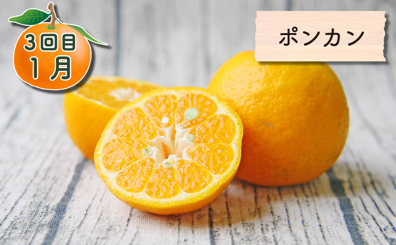 旬の柑橘 定期便 全4回 吉田みかん 愛果28号 ポンカン おまかせ詰合せ フレッシュつちやま  果物 フルーツ 柑橘 みかん 農家直送 産地直送 数量限定 国産 愛媛 宇和島 B048-096020