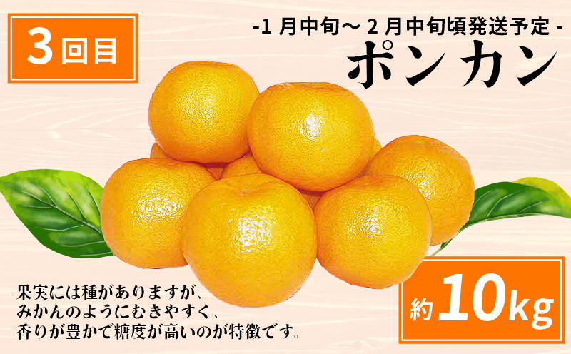 愛媛みかん えひめの旬の柑橘 産地直送 4回 定期便 えひめ南農業協同組合直販センター JA 早生温州 南柑20号 ポンカン 約10kg デコポン 約5kg 蜜柑 みかん mikan 果物 くだもの フルーツ 柑橘 愛媛蜜柑 農家直送 産地直送 数量限定 国産 愛媛 宇和島 B080-009011