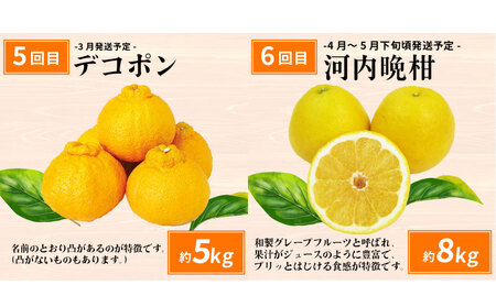 愛媛みかん えひめの旬の柑橘 産地直送 6回 定期便 えひめ南農業協同組合直販センター JA 早生温州 南柑20号 ポンカン 約10kg デコポン 約5kg 河内晩柑 約8kg ひめのつき ブラッドオレンジ ジュース セット 6本 蜜柑 みかん mikan 果物 くだもの フルーツ 柑橘 愛媛蜜柑 農家直送 産地直送 数量限定 国産 愛媛 宇和島 B120-009012
