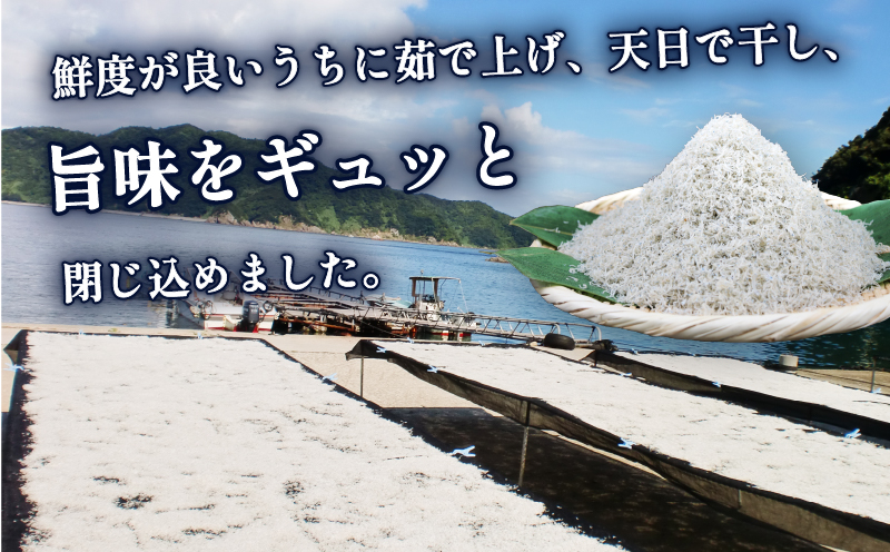 ちりめん 80g × 6袋 計 480g 時栄水産 しらす じゃこ ちりめんじゃこ しらす干し ちりめん干し 冷蔵 おつまみ 加工品 ふりかけ 弁当 おにぎり 天日干し カタクチイワシ 高級 数量限定 産地直送 国産 愛媛 宇和島 D010-174002
