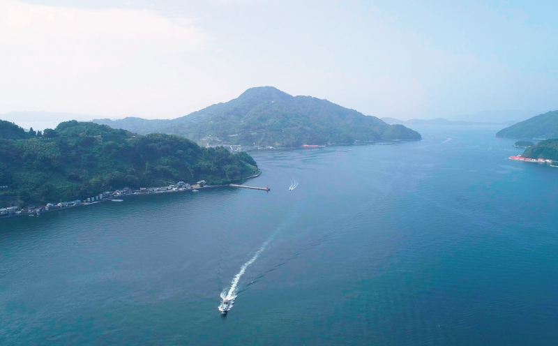 鯛茶漬け 5食 セット タレ付き 辻水産 家庭用 保冷バッグ 梱包 真鯛 鯛 マダイ タイ 冷凍 真空パック お手軽 流水解凍 お茶漬け ごまだれ 切り身 刺身 お刺身 お刺し身 刺し身 海鮮丼 海鮮 海の幸 時短 簡単 お手軽 人気 惣菜 魚介 魚 人気 加工品 産地直送 国産 愛媛 宇和島 D014-062009