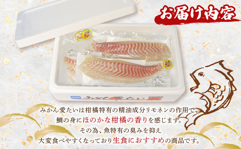 真鯛 みかん愛たい スキンレスロイン 3～4柵 600g 以上 南予ビージョイ お刺身 ロイン 鯛しゃぶ カルパッチョ 鯛めし 鯛茶漬け tai 産地直送 お取り寄せ 新鮮 鍋 海鮮鍋 冷蔵 個包装 鮮魚 海の幸 魚介 国産 愛媛 宇和島 D014-150012