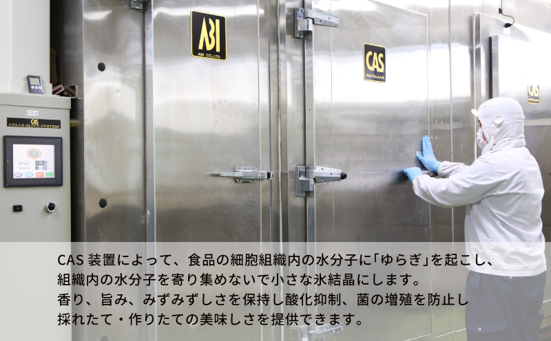 真鯛 ハマチ タイカマ 海の幸 セット A 愛媛県漁業協同組合遊子支所 遊子 鯛 タイ マダイ 出世魚 ブリ 鰤 刺身 お刺身 刺し身 お刺し身 フィーレ ブロック 加工 海の幸セット 魚 しゃぶしゃぶ たたき アレンジ 冷凍 産地直送 国産 愛媛 宇和島 D018-022001