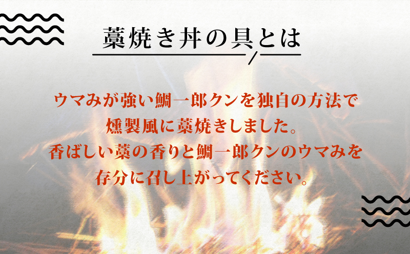 真鯛 鯛一郎クン 切身 80g4袋 たれ20g4袋 藁焼き丼の具 4食分 コバヤ 養殖真鯛 鯛 切り身 刺身 まだい たい マダイ タイ ご飯 丼 海鮮丼 漬け丼 漬丼 鯛めし 藁焼き 燻製 風 一人暮らし お手軽 簡単 便利 簡単調理 加工品 国産 愛媛 宇和島 D020-059010