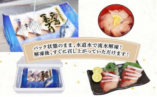 【ブリしゃぶ】 戸島ブリ 600g フレッシュつちやま 先行予約 鰤しゃぶ 新鮮 養殖 buri D020-096013
