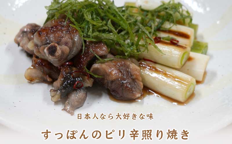 すっぽん とっぽ 鍋 セット 辛口 水幸苑 精肉 200g×2 たれ エンペラーからし酢みそ エンペラー からし酢みそ 活血 粉末カプセル カット済み 切り身 鼈 本格料理 簡単調理 冷凍 コラーゲン 美容 疲労回復 スタミナ 骨付 産地直送 国産 愛媛 宇和島 D025-103004