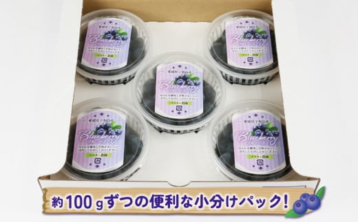 ブルーベリー 大粒 500g マスタニ農園 ハウス栽培 生ブルーベリー  美味しい 100g×5パック 小分け パック 生 ベリー 果物 フルーツ デザート スイーツ ポリフェノール 果物 冷蔵 農家直送 産地直送 数量限定 国産 愛媛 宇和島 F014-136001