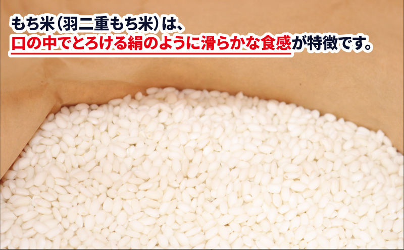 もち米 羽二重もち 3kg ワールドファーマーズ お米 米 餅米 はぶたえもち 餅ごめ お餅 おもち 餅菓子 なめらか お団子 だんご 鏡餅 甘い モチ お正月 産地直送 数量限定 国産 愛媛 宇和島 G010-024029