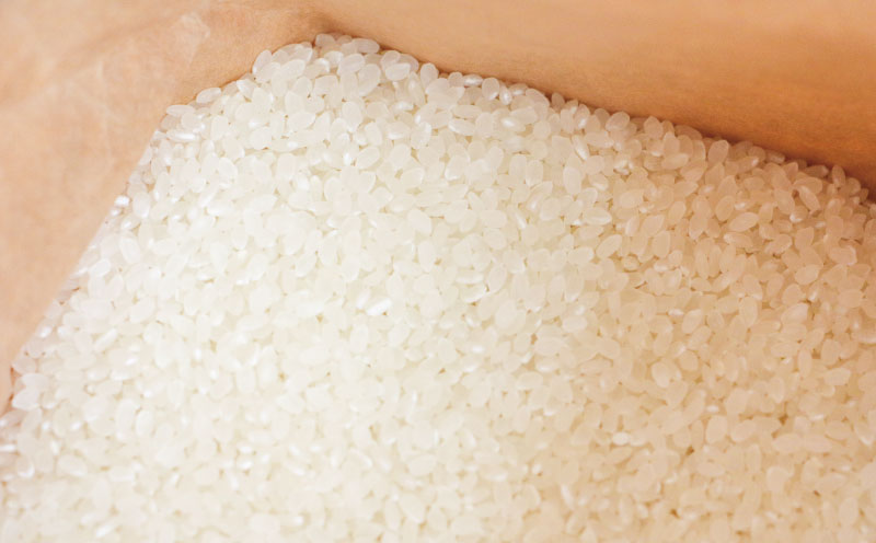 新米 特別栽培 コシヒカリ 5kg 令和7年度産 先行予約 伊達米 グローバルGAP取得 ワールドファーマーズ お米 米 ごはん ブランド米 特別栽培米 美味しい お弁当 弁当 おにぎり ふっくら ツヤツヤ 甘い 農家直送 産地直送 数量限定 国産 愛媛 宇和島 G015-024011