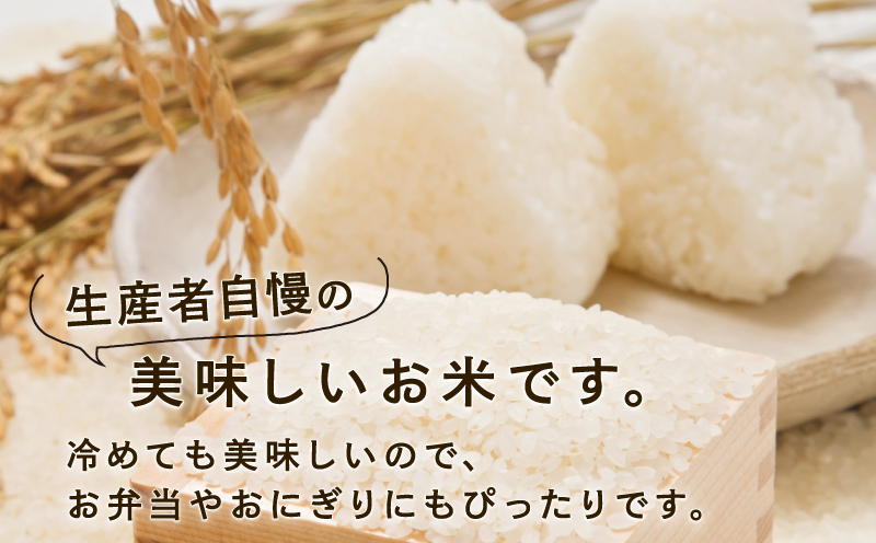 特別栽培米 新米 三間米 コシヒカリ 計10kg 5kg × 2袋 伊勢本農園 特別栽培 米 お米 おこめ ごはん こめ コメ ※ kome 白米 精米 お弁当 ブランド米 ふっくら ツヤツヤ ライス 農家直送 産地直送 数量限定 国産 愛媛 宇和島 G030-146002